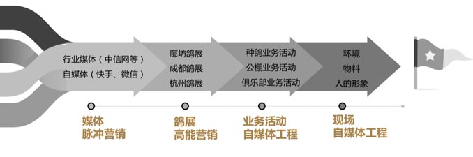 開(kāi)爾鴿業(yè)品牌全案服務(wù)