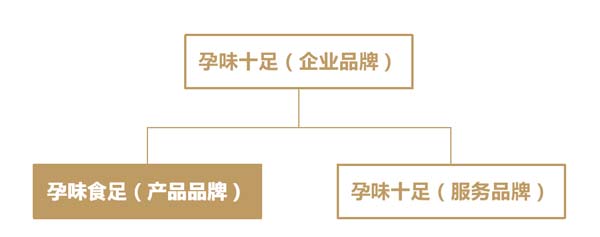 歐賽斯超級品牌引擎&reg; 新冠軍商業(yè)實戰(zhàn)案例：孕味食足