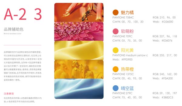 歐賽斯超級品牌引擎&reg; 新冠軍商業(yè)實戰(zhàn)案例：孕味食足