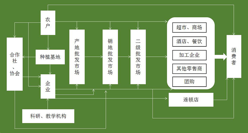 品牌互動模式及關鍵要素——傳播渠道